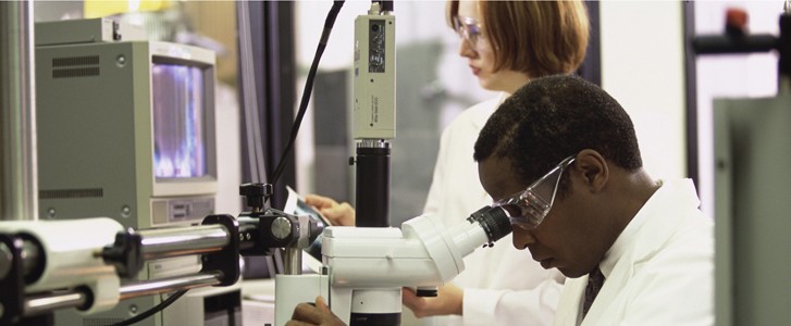 Researchers working in a laboratory