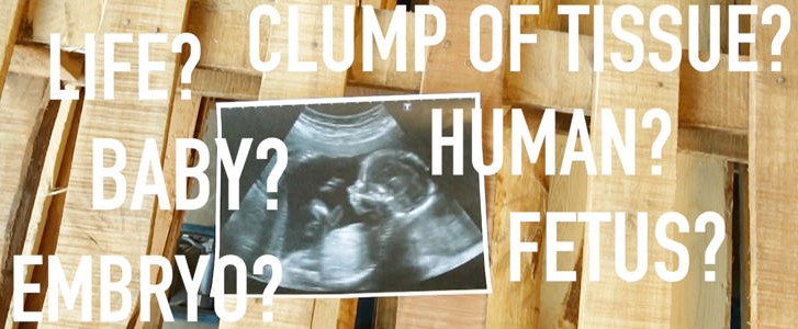 Still of ultrasound image and text from FOTFs "S.L.E.D. Test" video series