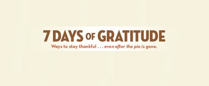 Download Focus Free Resource For Families 7 Days Of Gratitude Jim Daly